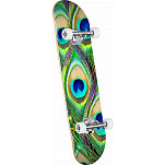 Mini Logo Skateboard Assembly Peacock Feather - Birch - 7.5 x 30.7