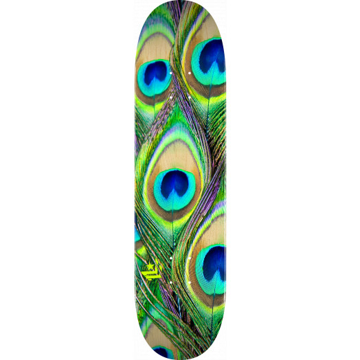 MINI LOGO PEACOCK FEATHER 