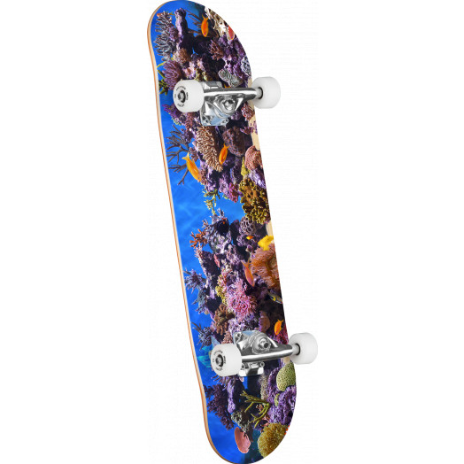 Mini Logo Skateboard Assembly Fish Tank - Birch - 7.75 x 31.08